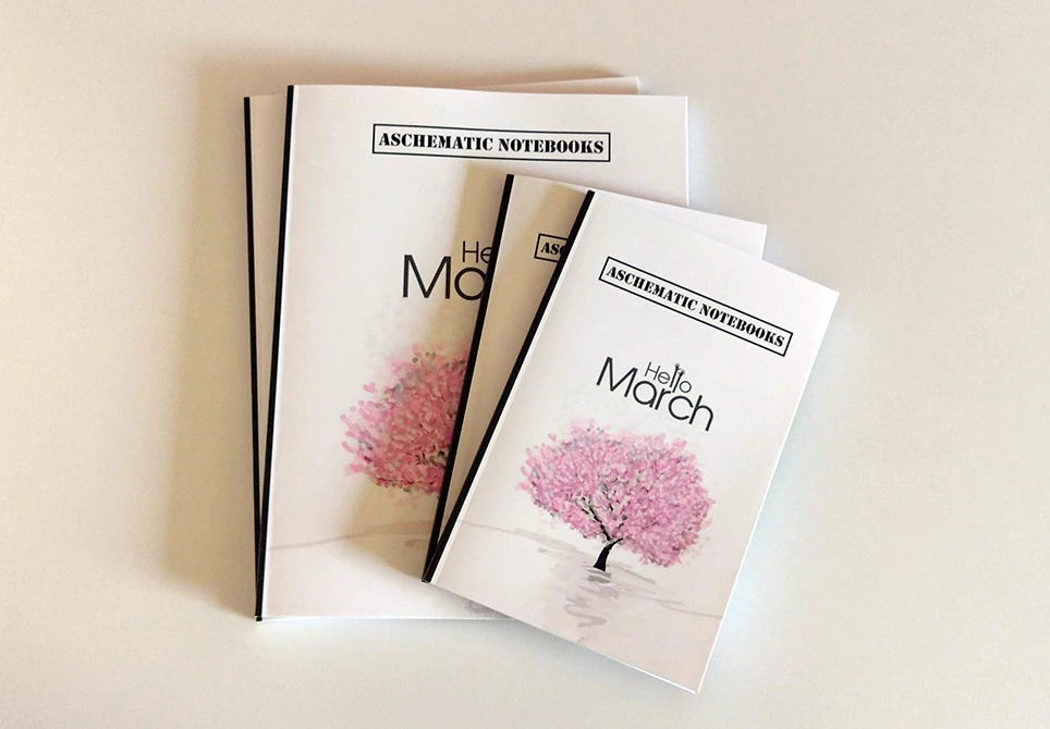 Aschematic Notebook — cover